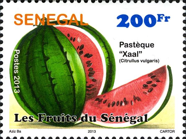 African Melon “Xaal” (Citrullus vulgaris)
