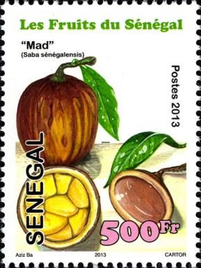 Madd Fruit (Saba senegalensis)