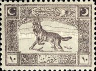 Wolf (Canis lupus)