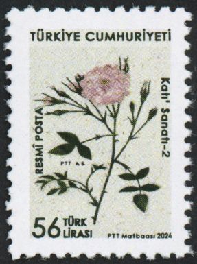 Katı Artwork