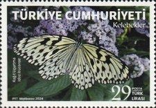 Paper kite Butterfly (Idea leuconoe)