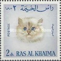 Cat (Felis silvestris catus)