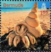 Sand Castles