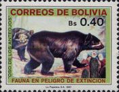 Spectacled Bear (Tremarctos ornatus)