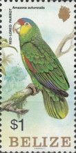 Red-lored Parrot (Amazona autumnalis)