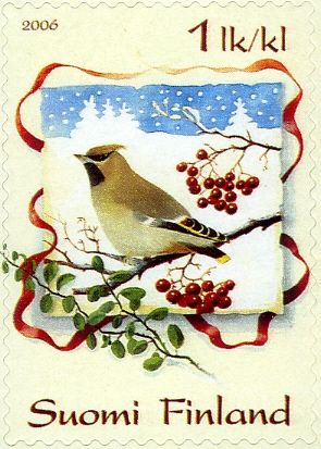 Bohemian Waxwing (Bombycilla garrulus)