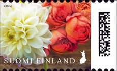 Friendship Blossoms