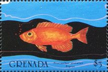 Bigeye