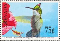 Antillean Crested Hummingbird (Orthorhyncus cristatus)