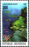 Giant Oceanic Manta Ray (Manta birostris), Brain Coral
