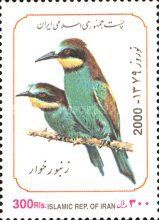 European Bee-eater (Merops apiaster)