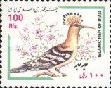 Eurasian Hoopoe (Upupa epops)
