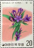 Gentian