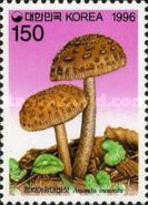 Amanita inaurata