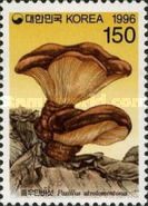 Paxillus atrotomentosus
