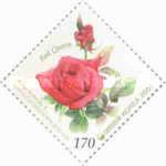 Red Queen Rose