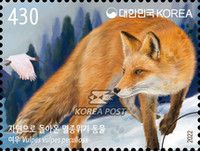 Korean Fox (Vulpes vulpes peculiosa)