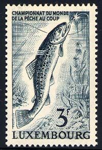 World Fishing Championships, Wormeldange