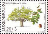 Mountain Ash (Sorbus domestica)