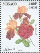 Iris and Rose "Prince Rainier III"