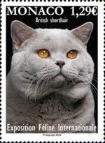 2024 International Feline Exoposiiton