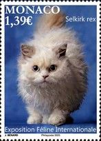 2025 International Cat Exposition