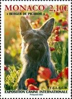 2025 International Dog Exposition
