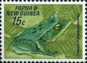 Gunther's Triangle Frog (Ceratobatrachus guentheri)