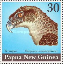 New Guinea Eagle (Harpyopsis novaeguineae)