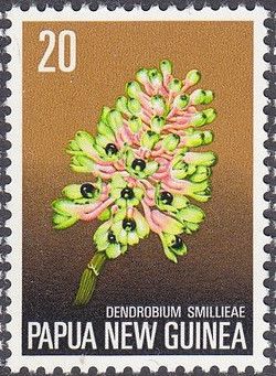 Dendrobium smillieae