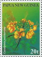 Caesalpinia pulcherrima