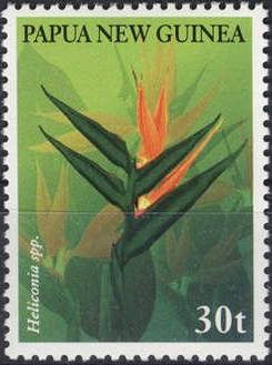 Heliconia