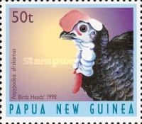 Wattled Brushturkey (Aepypodius arfakianus)