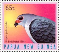 Grey-headed Goshawk (Accipiter poliocephalus)