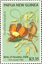 Magnificent Bird-of-paradise (Diphyllodes magnificus)