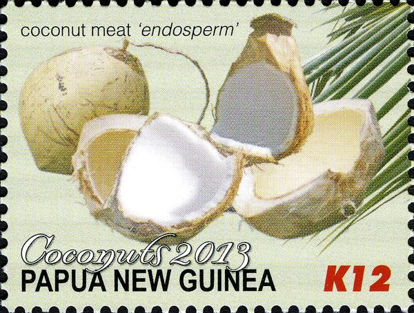 Coconut Meat