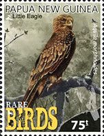 Little Eagle (see Description)