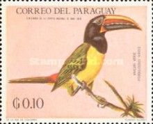 Green Aracari (Pteroglossus viridis)