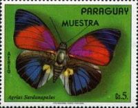 Claudina Agrias (Agrias sardanapalus)