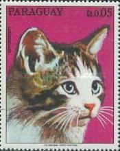 Domestic Cat (Felis silvestris catus)
