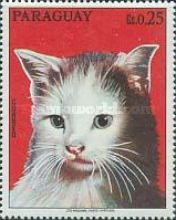 Domestic Cat (Felis silvestris catus)