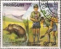 Seven-banded Armadillo (Dasypus septemcinctus)