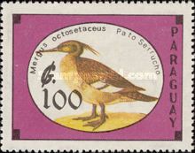 Brazilian Merganser (Mergus octosetaceus)