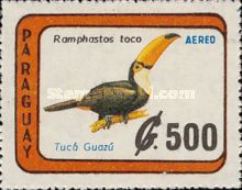Toco Toucan (Ramphastos toco)