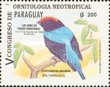 Swallow-tailed Manakin (Chiroxiphia caudata)