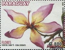 Ceiba chodatii