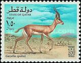 Speke's Gazelle (Gazella spekei)