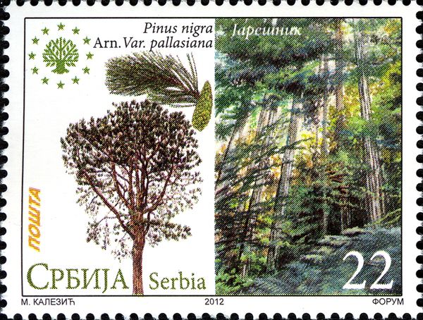 Nature Conservation
