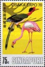 American Flamingo (Phoenicopterus ruber), Helmeted Hornbill 