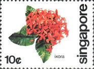 Ixora